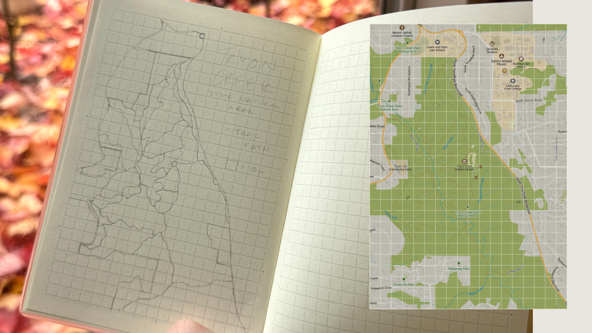 Grid Overlay for MD Notebooks